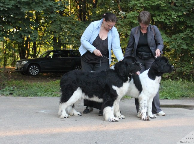 Фотография № 213224