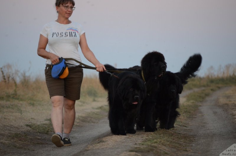 Фото: Елена Кузьмина