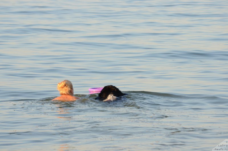 Фотография № 213271