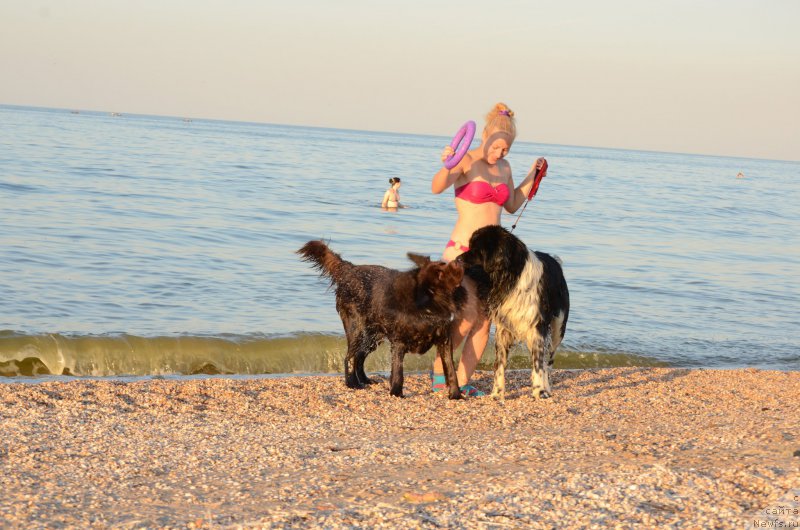 Фотография № 213273