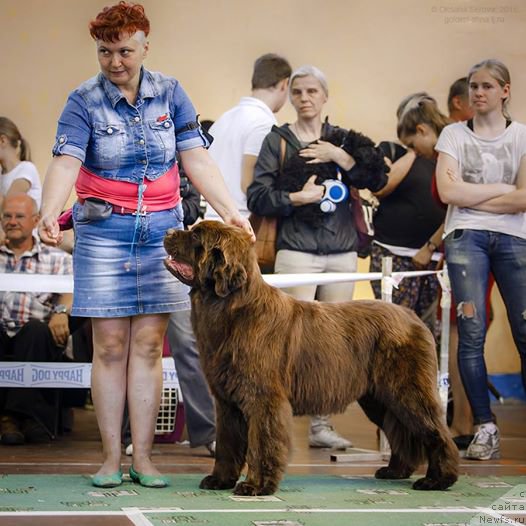 Фотография № 213279