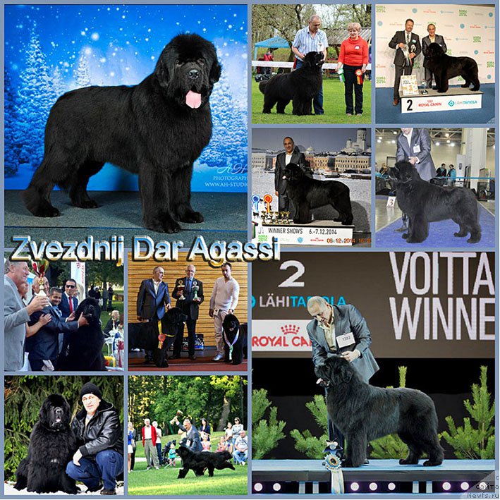 Фотография № 213284