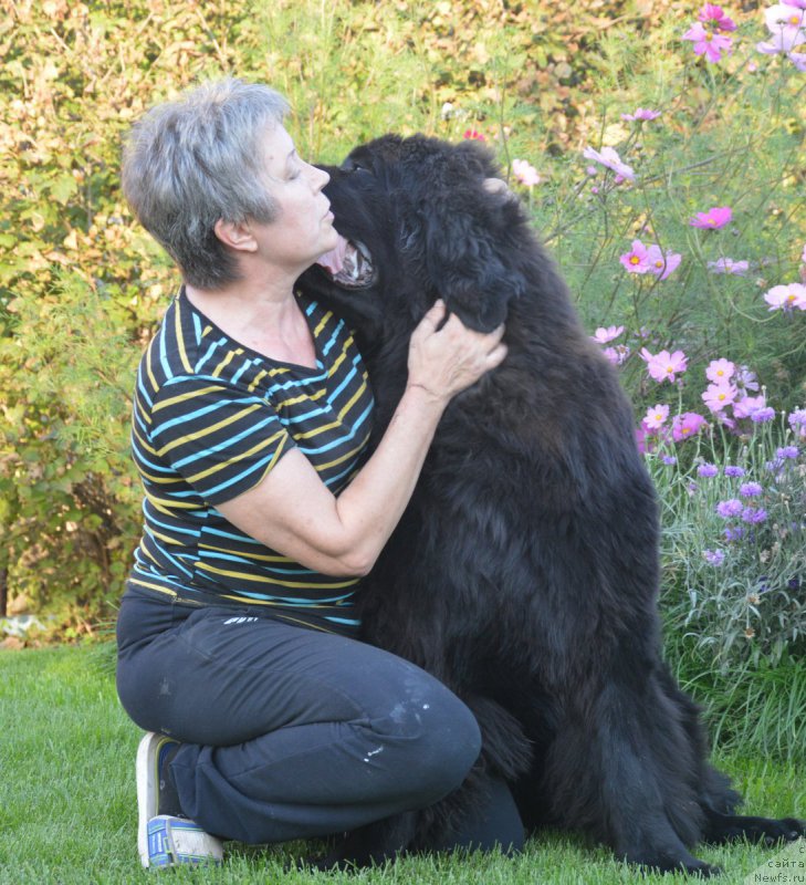 Фотография № 213291