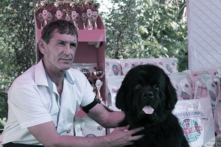 Фотография № 213315