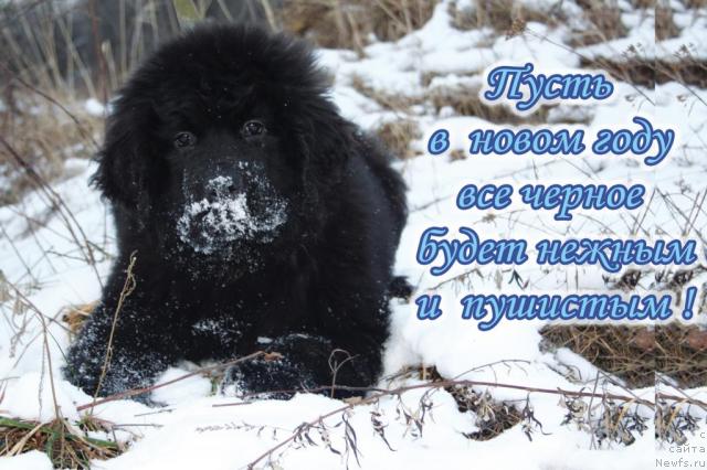 Фотография № 21332