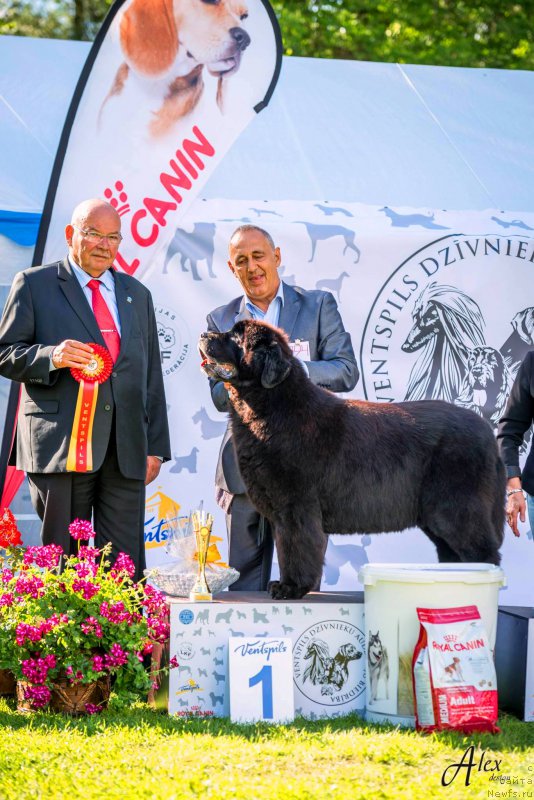 Фотография № 213362