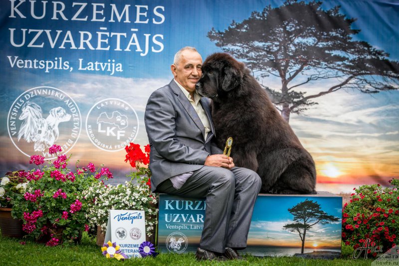 Фотография № 213364