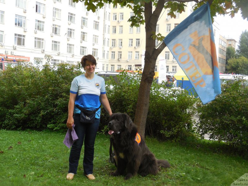 Фотография № 213410