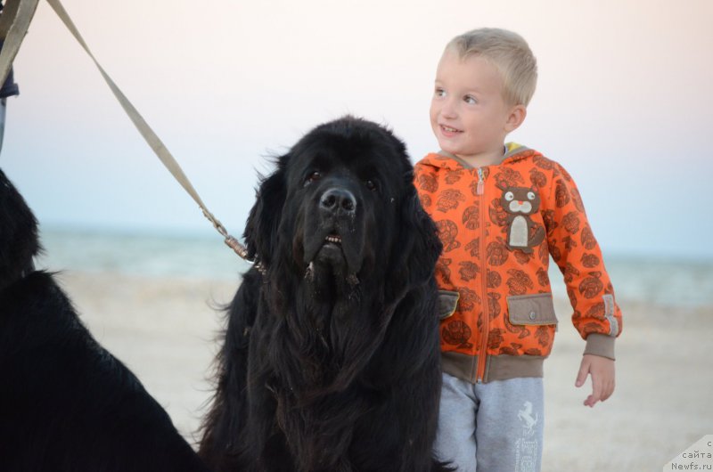 Фотография № 213419