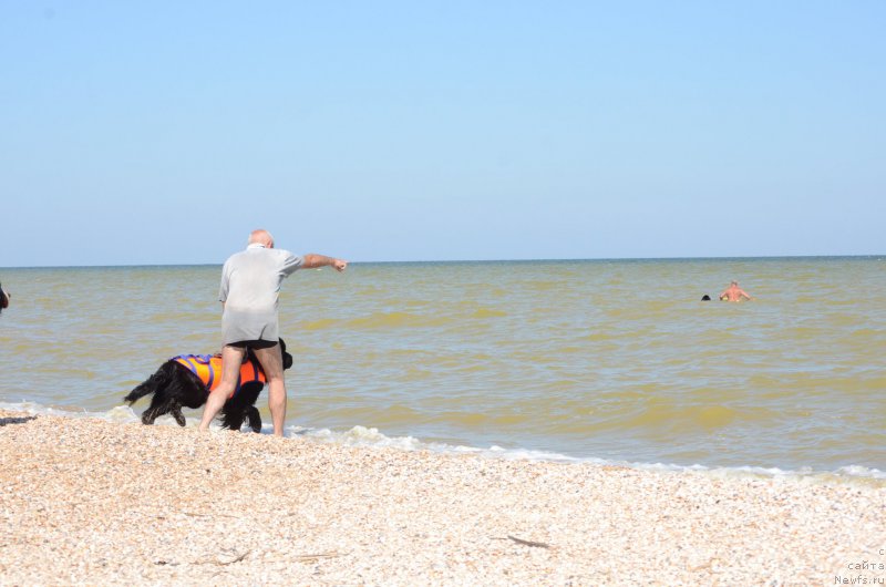 Фотография № 213421