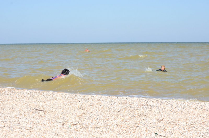 Фотография № 213422