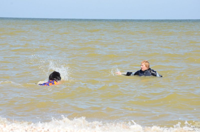 Фотография № 213423