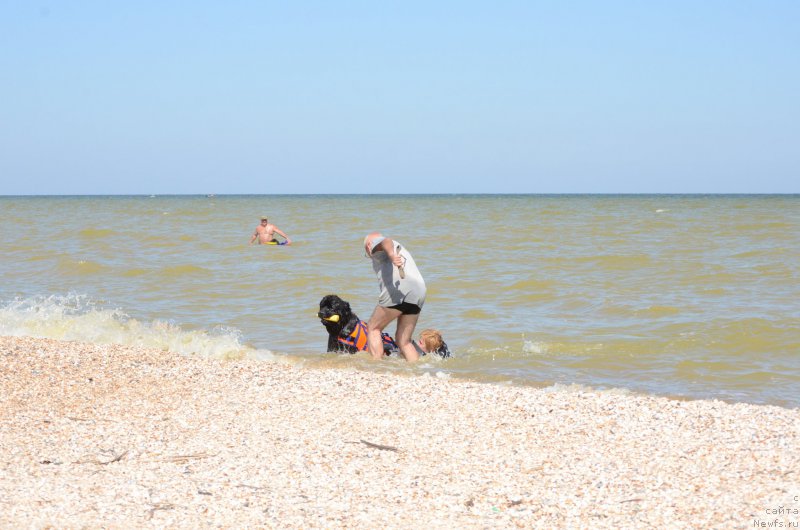 Фотография № 213424