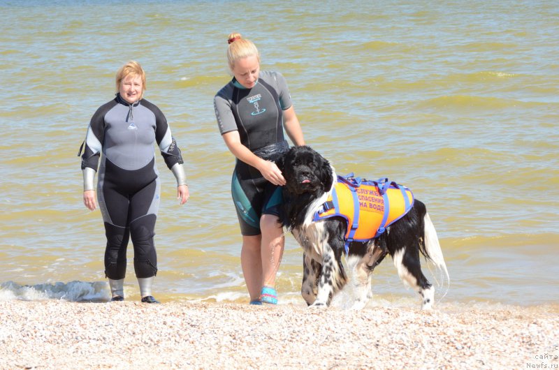 Фотография № 213427