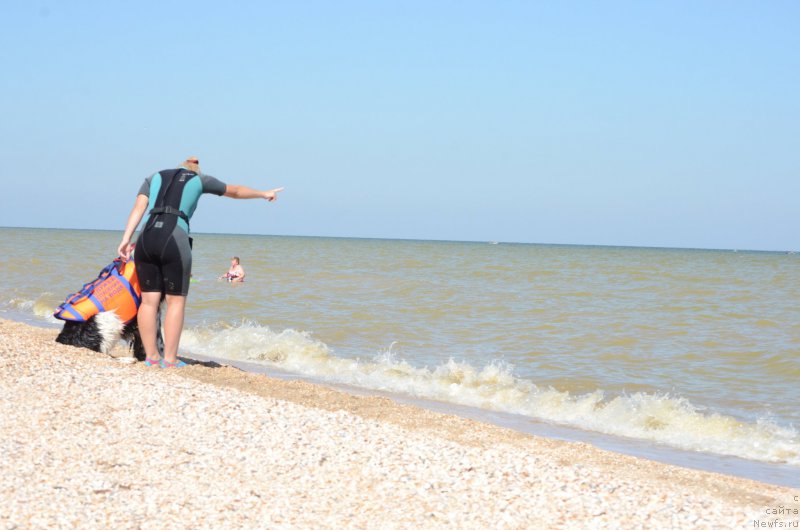 Фотография № 213428