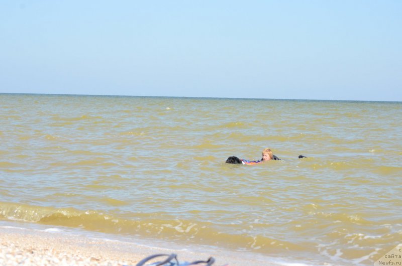 Фотография № 213431