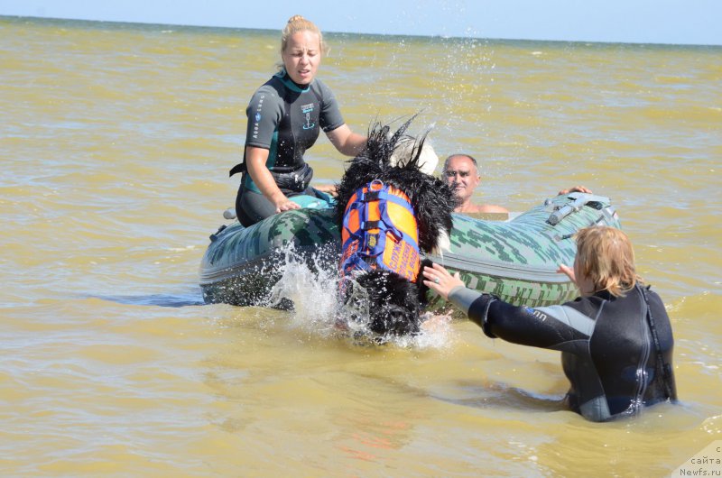 Фотография № 213444