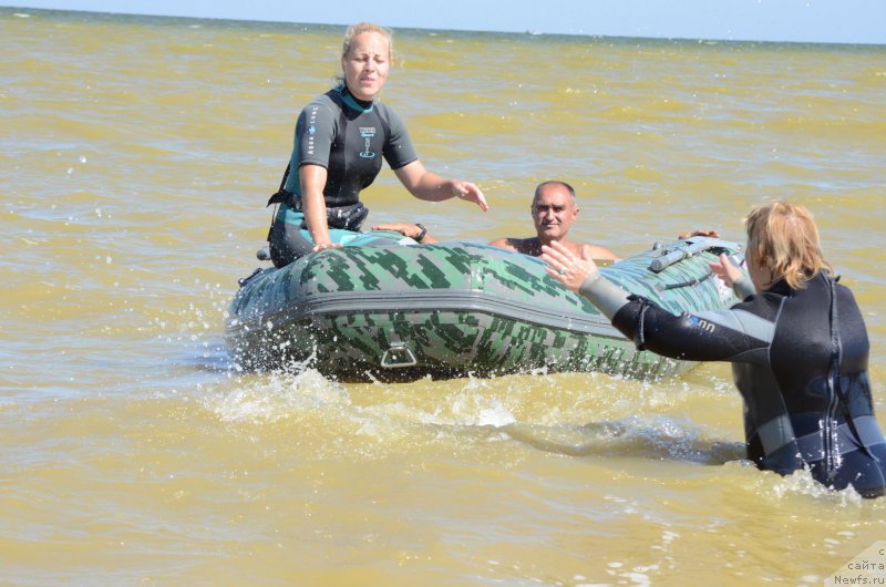 Фотография № 213445