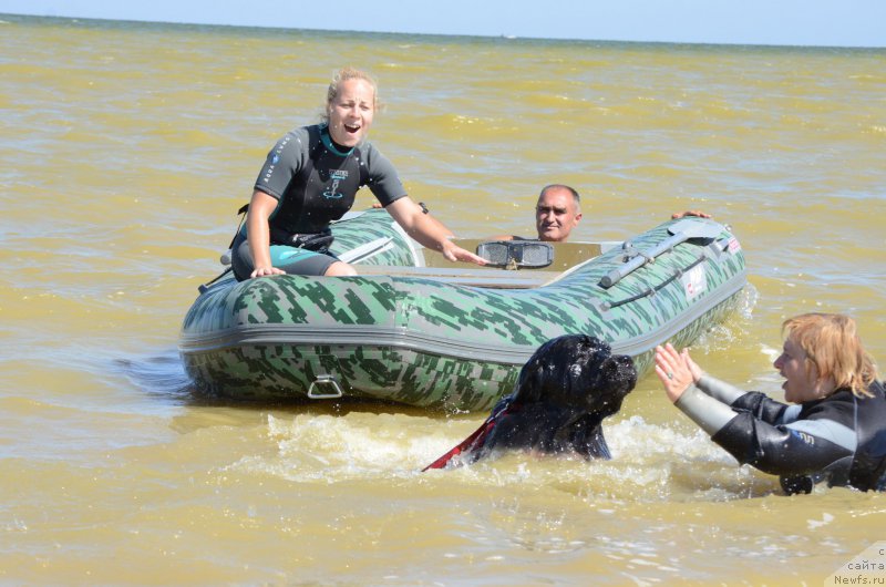 Фотография № 213446