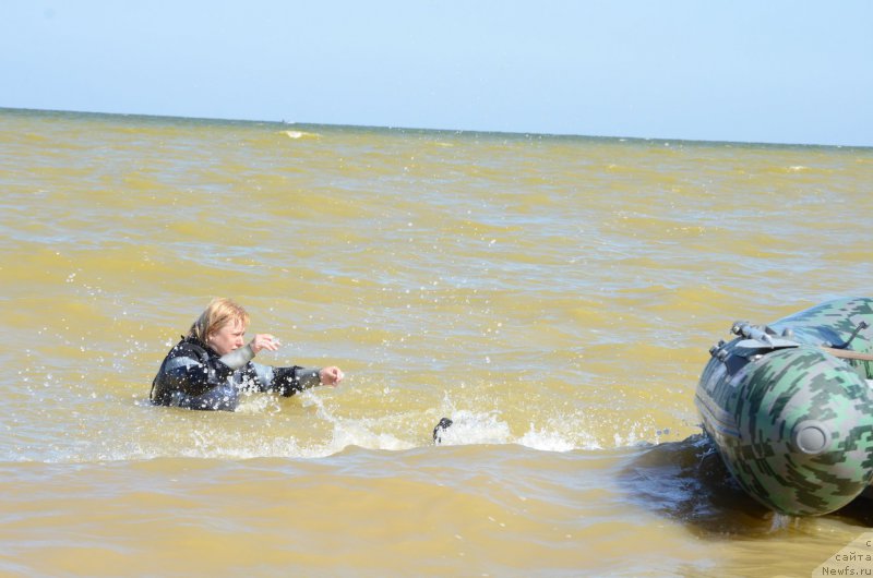 Фотография № 213453