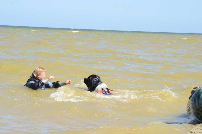 Фотография № 213454