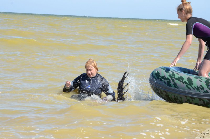 Фотография № 213457