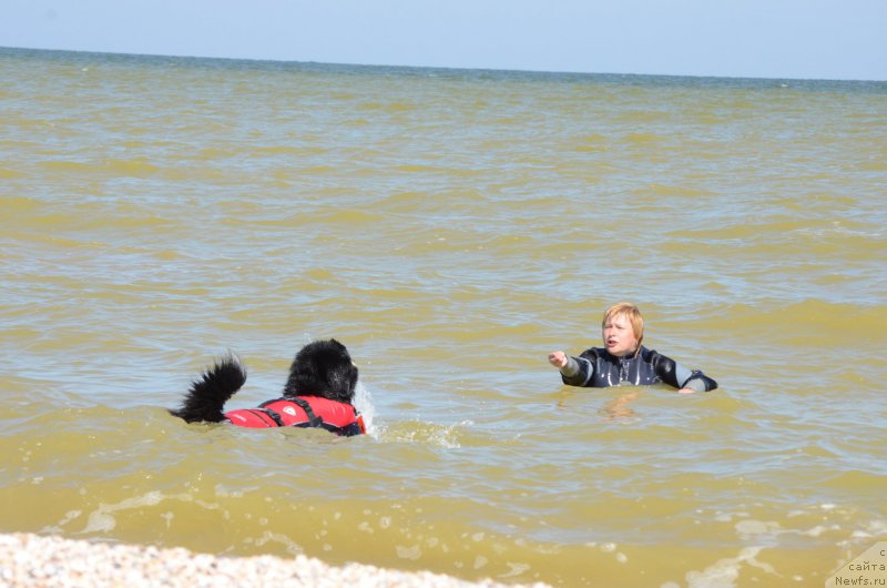 Фотография № 213460