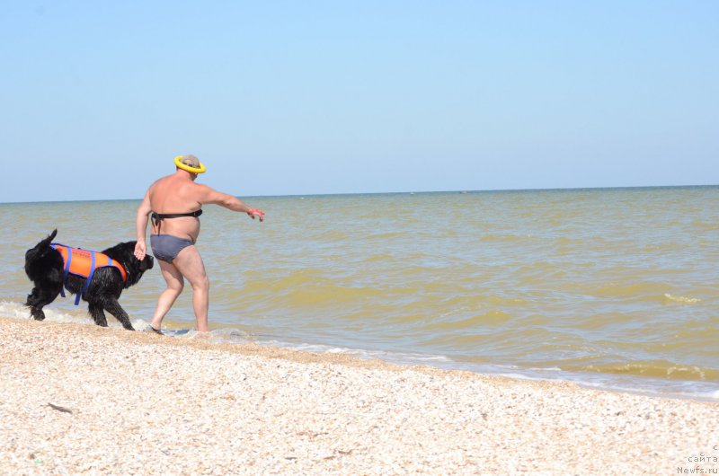 Фотография № 213465