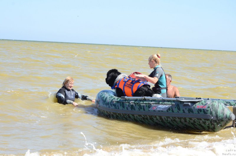 Фотография № 213469