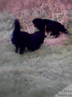 Фото: Ажело Орсо Белла Донна и Смигар Билив Ми Ай’м Доктор