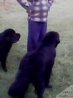 Фото: Ажело Орсо Белла Донна и Смигар Билив Ми Ай’м Доктор