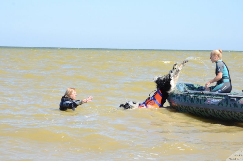 Фотография № 213474