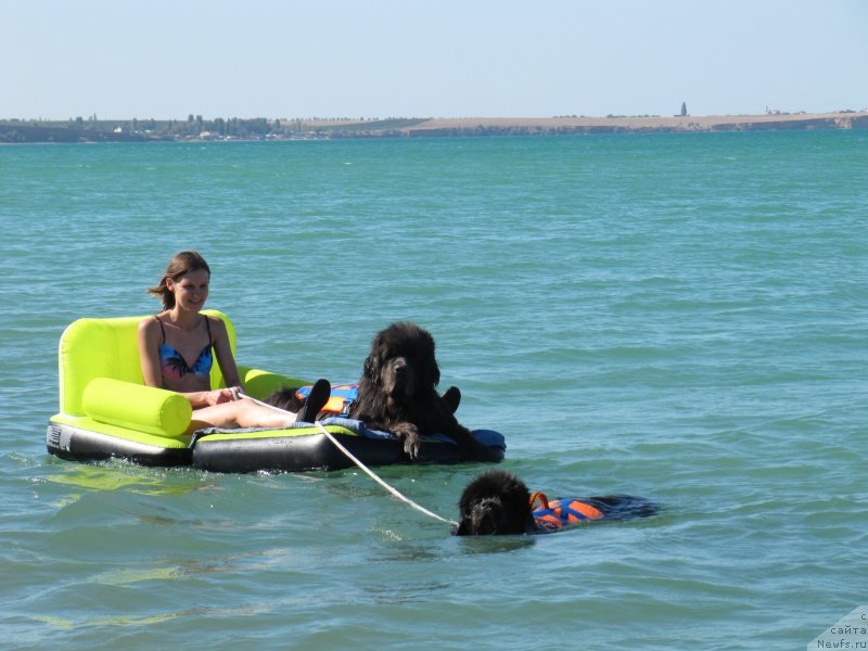 Фотография № 213479