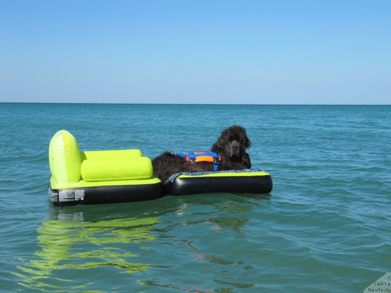 Фотография № 213480