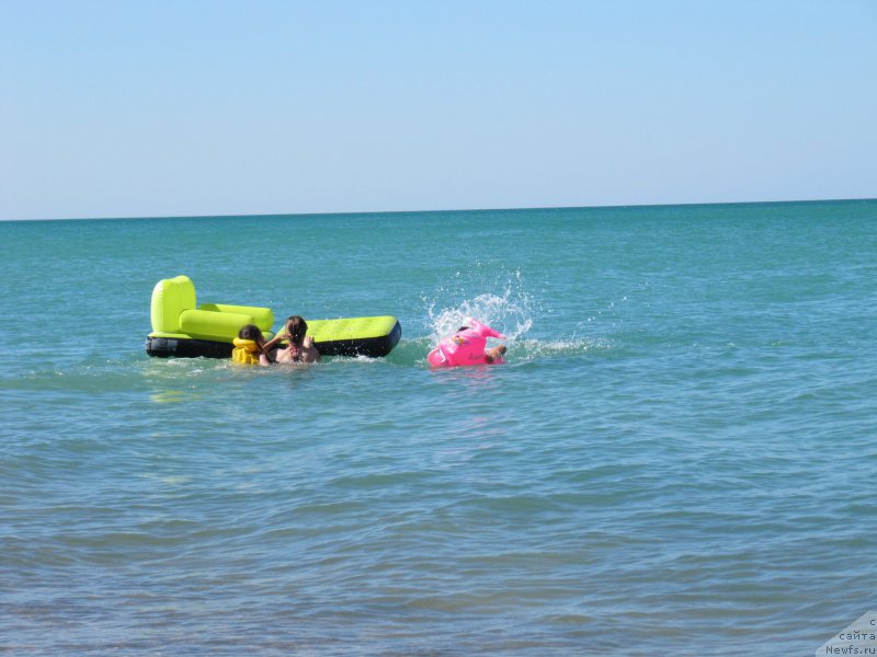 Фотография № 213482