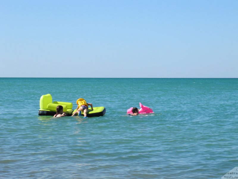 Фотография № 213484