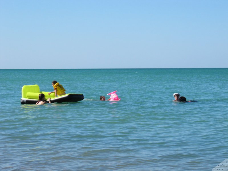 Фотография № 213485