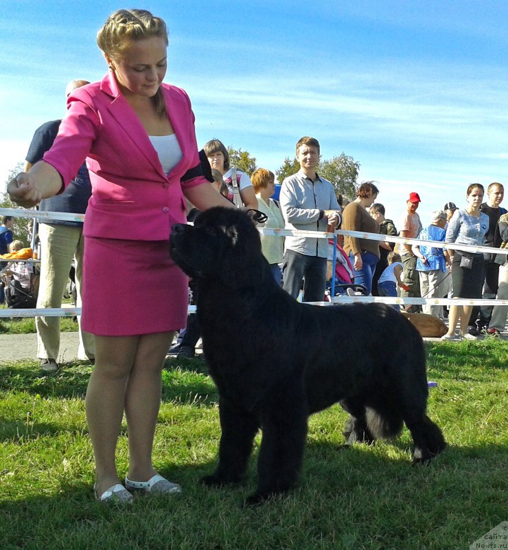 Фотография № 213487