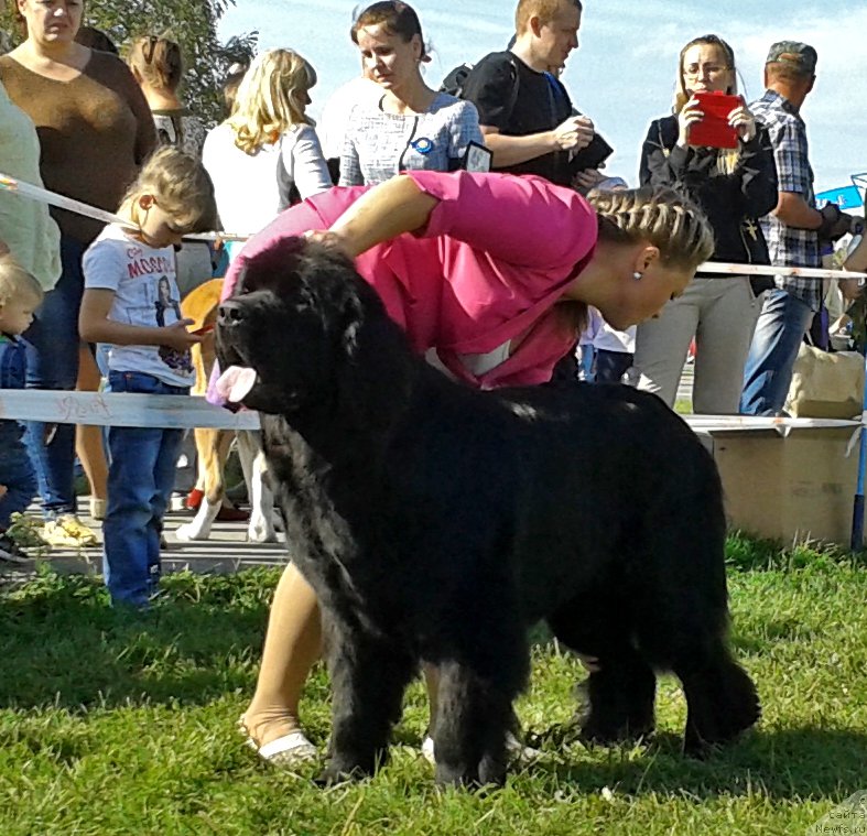 Фотография № 213488