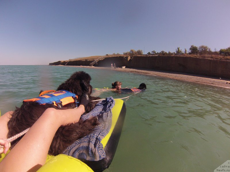 Фотография № 213492