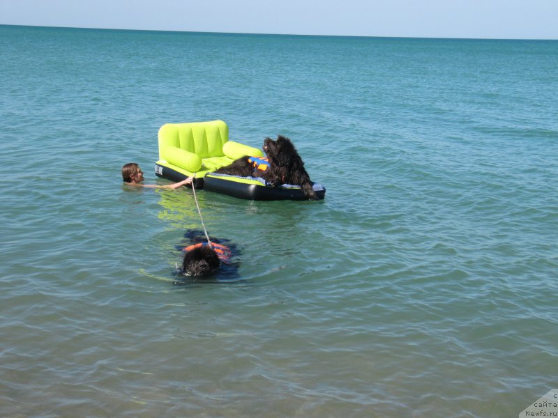 Фотография № 213493