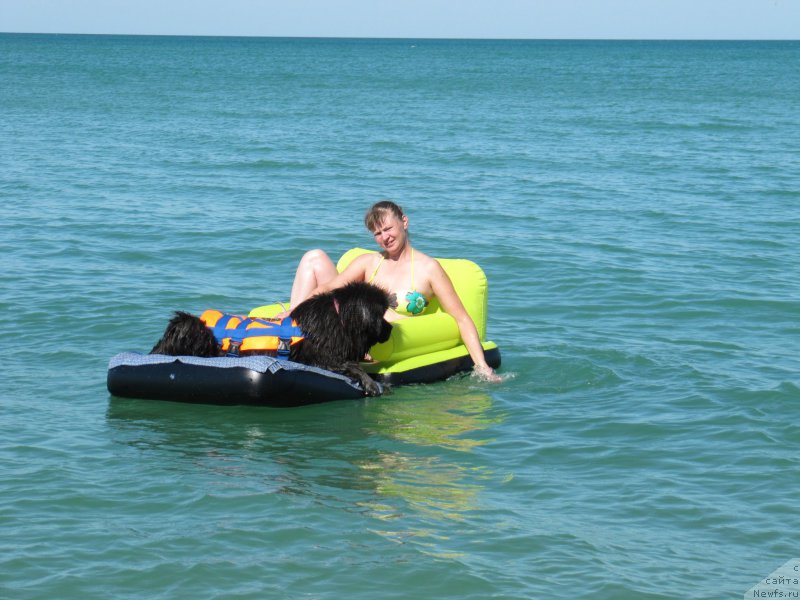 Фотография № 213494