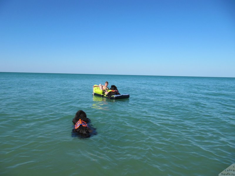 Фотография № 213495