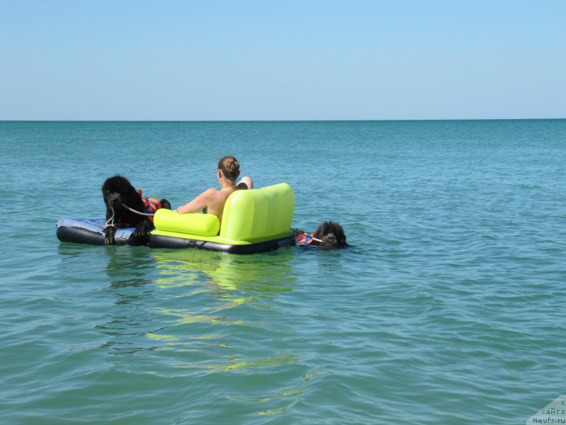 Фотография № 213496