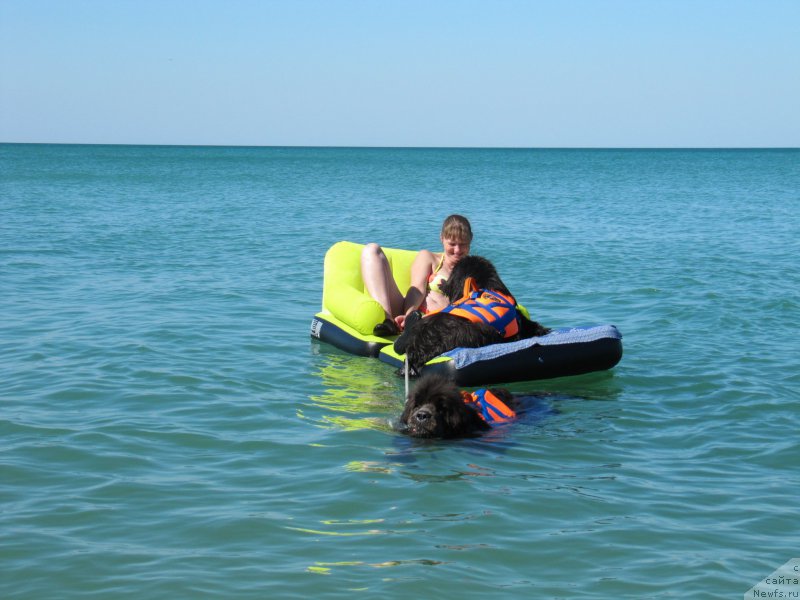 Фотография № 213497