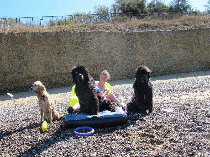 Фотография № 213498