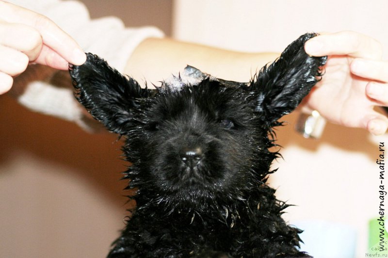 Фотография № 213506