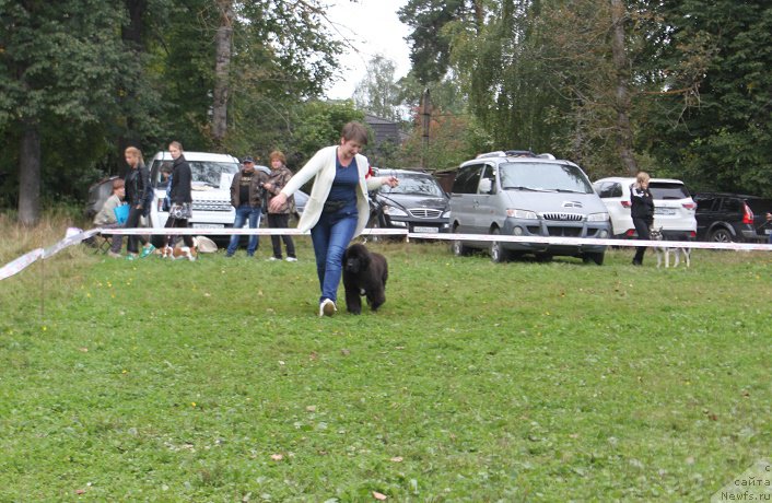 Фотография № 213509