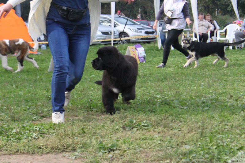 Фотография № 213512