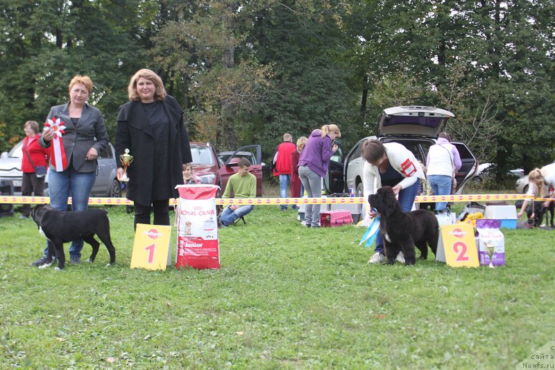 Фотография № 213513